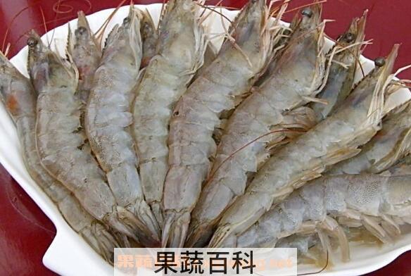 孕妇能吃虾吗 孕妇吃虾的好处和坏处