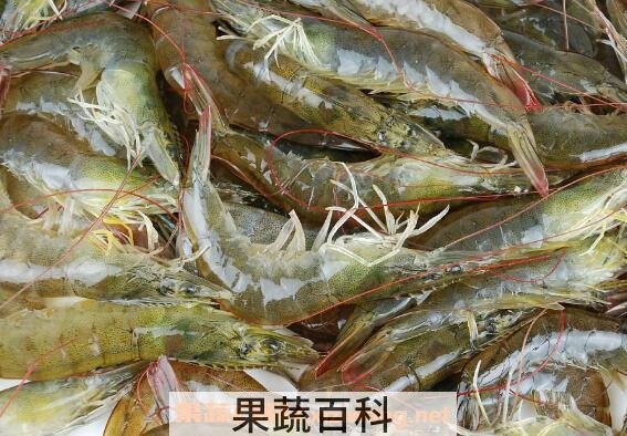 孕妇能吃虾吗 孕妇吃虾的好处和坏处