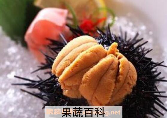 海胆怎么吃 海胆的吃法大全