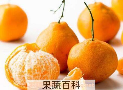 蜜柑的功效与作用 蜜柑上火吗