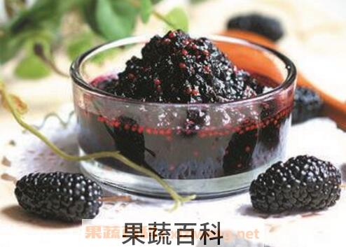 桑葚泡酒的功效与作用 桑葚泡酒的做法