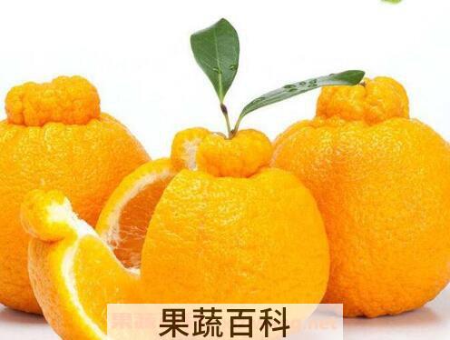 丑八怪水果的功效和作用 丑八怪的营养价值