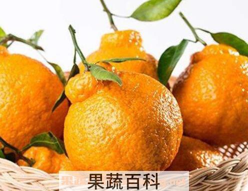 丑八怪水果的功效和作用 丑八怪的营养价值