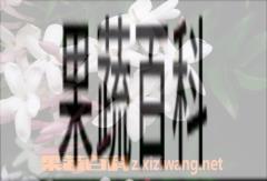 果蔬百科素馨花