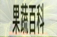 果蔬百科铁树叶子发黄