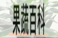 果蔬百科富贵竹