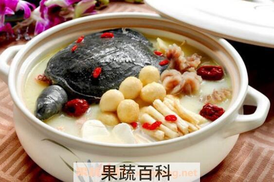 甲鱼汤的功效与禁忌 甲鱼汤什么人不适合吃