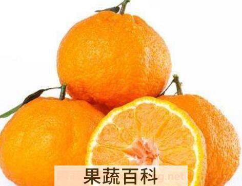 春见是什么水果 春见的功效与作用