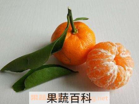 芦柑和橘子的区别 芦柑的功效与作用