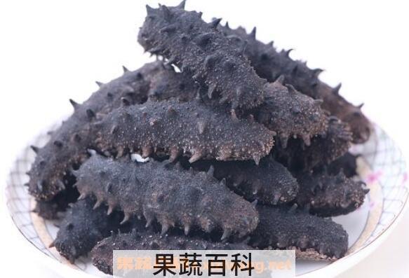  干海参怎么保存 干海参保存的方法技巧