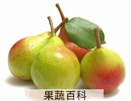 香梨的功效与作用 吃香梨的好处