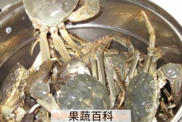 活螃蟹怎么保存 保存活螃蟹的方法技巧