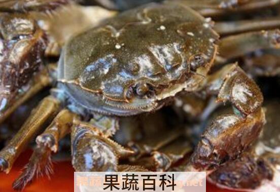 活螃蟹怎么保存 保存活螃蟹的方法技巧
