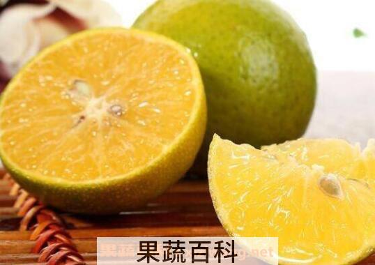 皇帝柑的营养价值与功效作用