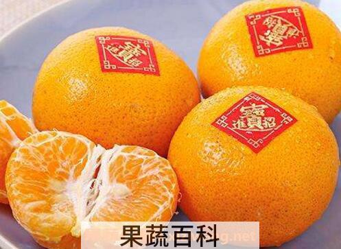 茂谷柑的功效与作用及禁忌