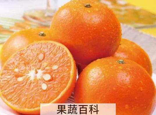 茂谷柑的功效与作用及禁忌