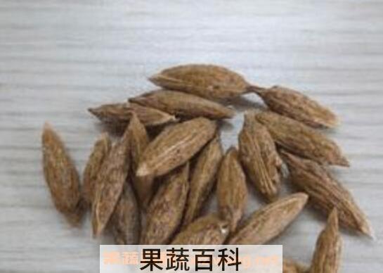 枣核的功效与作用 枣核的药用价值