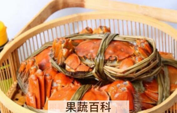 螃蟹怎么保存 保存螃蟹的方法技巧