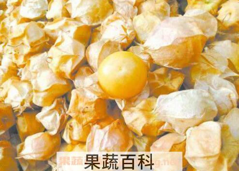 菇娘的功效与作用 吃菇娘的好处