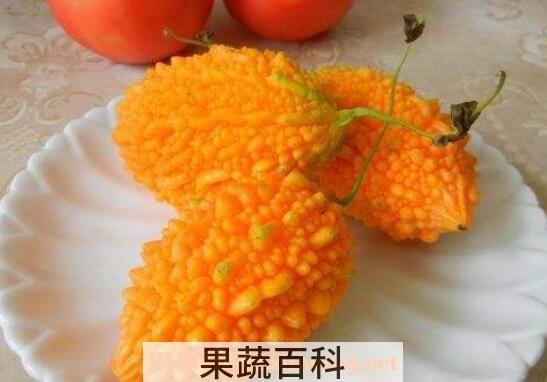 金癞瓜怎么吃 金癞瓜的吃法技巧