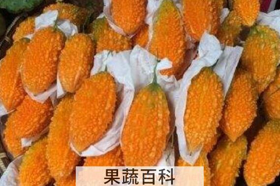 金癞瓜怎么吃 金癞瓜的吃法技巧