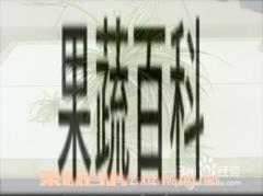 果蔬百科