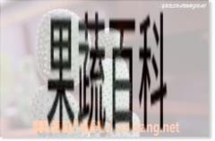 果蔬百科仙人掌