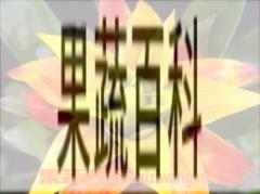 果蔬百科凤梨花