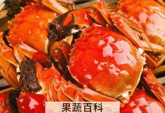 大闸蟹怎么吃 吃大闸蟹的注意事项