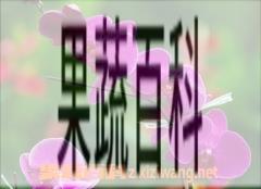 果蔬百科蝴蝶兰