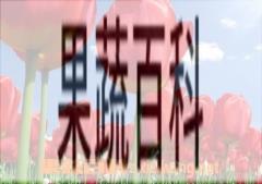 果蔬百科郁金香