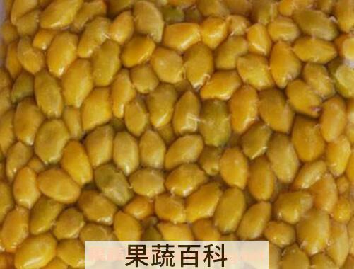 银杏果仁的功效与作用