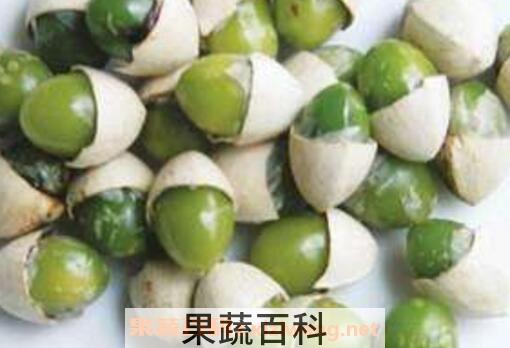 银杏果仁的功效与作用