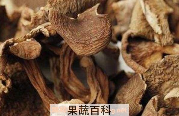 野生枞菌怎么做好吃 枞菌的做法窍门