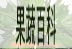 果蔬百科万年青