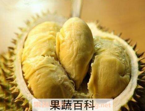  榴莲的功效与作用 榴莲的吃法