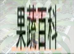 果蔬百科鸿运当头