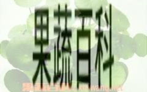 铜钱草的养殖方法和注意事项