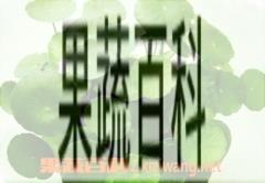 果蔬百科铜钱草