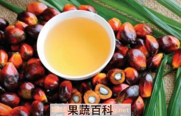 棕榈油的功效与作用及副作用