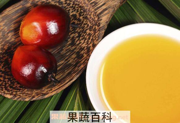 棕榈油的功效与作用及副作用