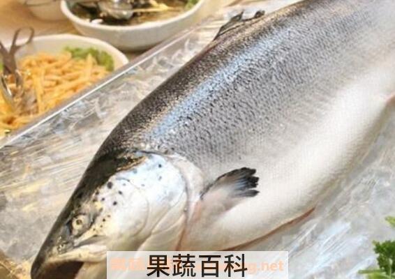 三文鱼和虹鳟鱼的区别