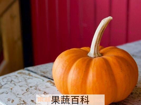 南瓜把的功效与作用及药用价值