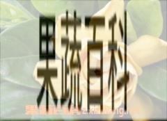 果蔬百科茶花