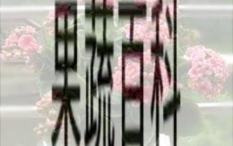 长寿花的养殖方法和技巧 长寿花的养殖方法和注意事项