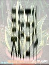 果蔬百科 虎皮兰的养殖方法和注意事项