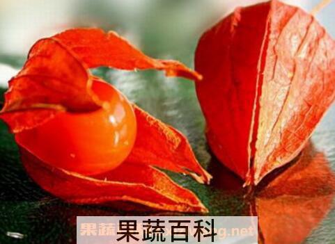 红姑娘怎么泡水喝 红姑娘泡水喝的功效