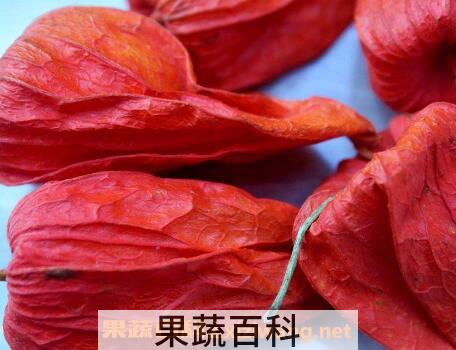 红姑娘皮泡水的功效 红姑娘皮泡水切记用量