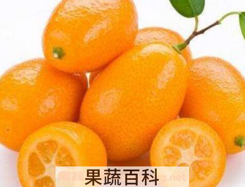 金桔的作用与功效