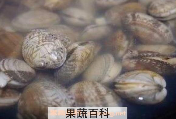 花甲沙子怎么洗干净 花甲怎么去沙